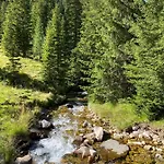 Almhuette Prem 1