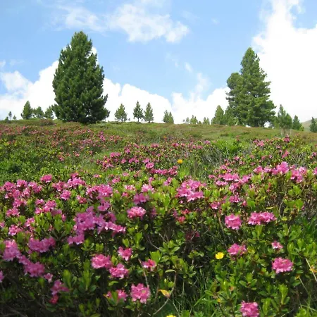 Almhuette Prem 1 Chalet *