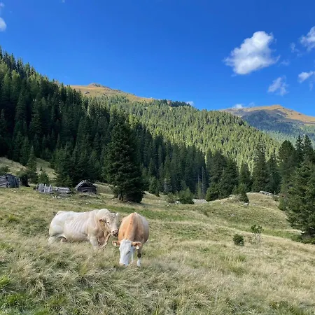 Almhuette Prem 1 * Ramingstein