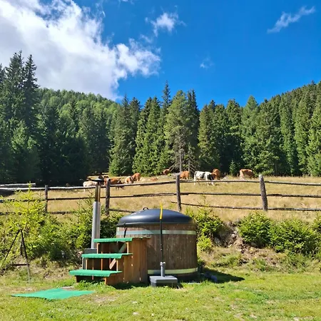 Almhuette Prem 1 * Ramingstein