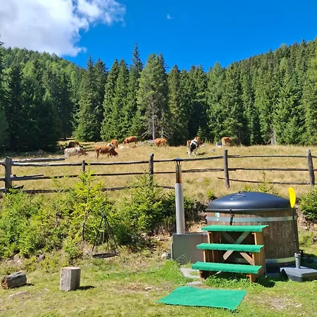 Almhuette Prem 1 Domek alpejski Ramingstein