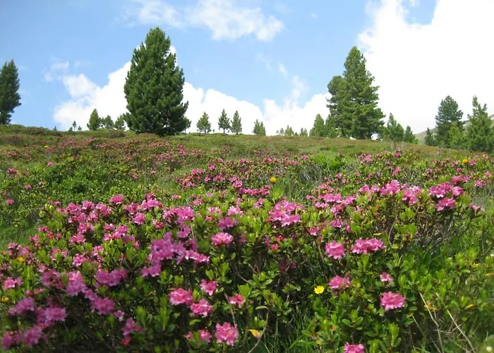 Almhütte Prem 1 Chalet *