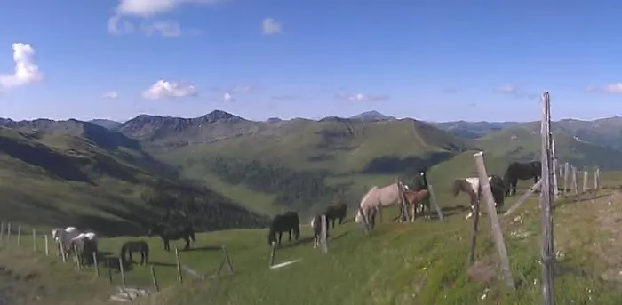 Шале Almhuette Prem 1 Ramingstein