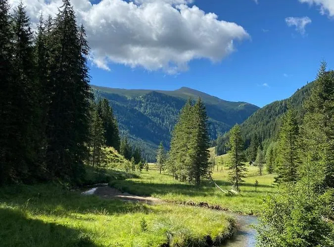 Chalet Almhütte Prem 1 *