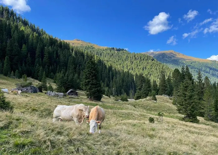 Almhuette Prem 1 * Ramingstein