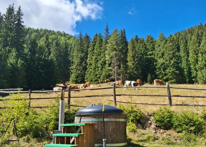 Almhütte Prem 1 * Ramingstein