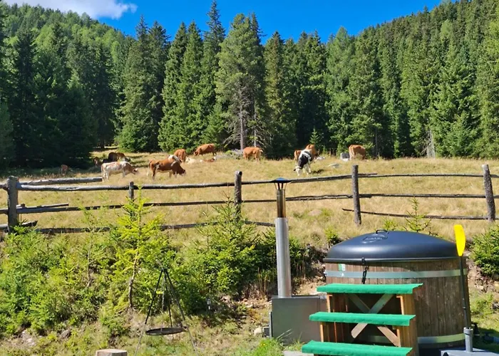 Almhütte Prem 1 Chalet Ramingstein